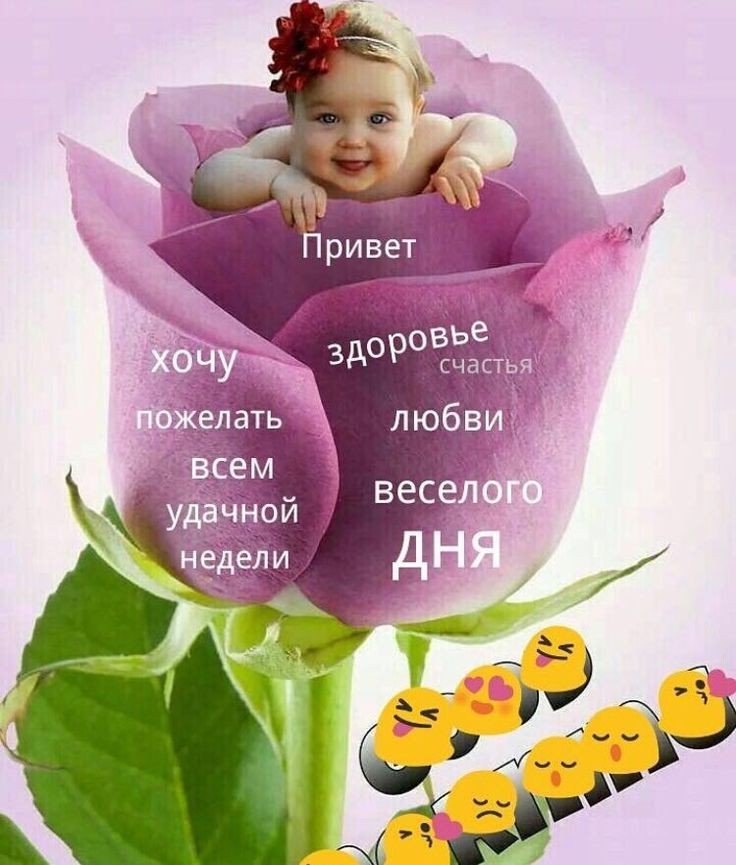 Картинки с надписью как твое здоровье, открытки днем