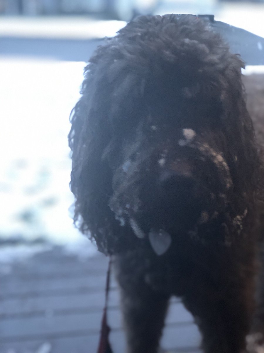 Nipe's tweet image. It’s snowing in Seattle