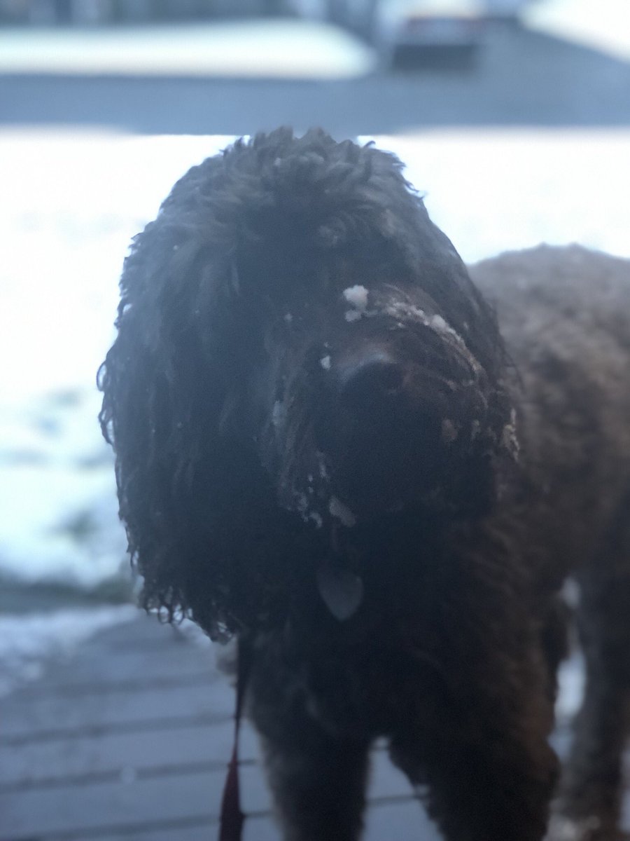 Nipe's tweet image. It’s snowing in Seattle