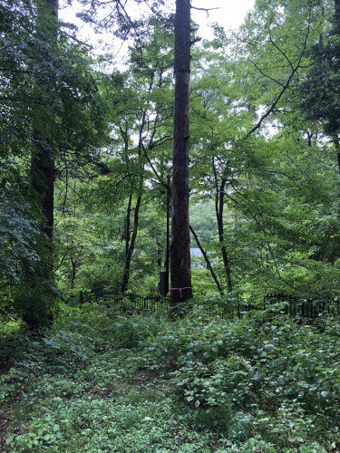 意識高まってきてる？ lennonforest.com/blog/201902041…