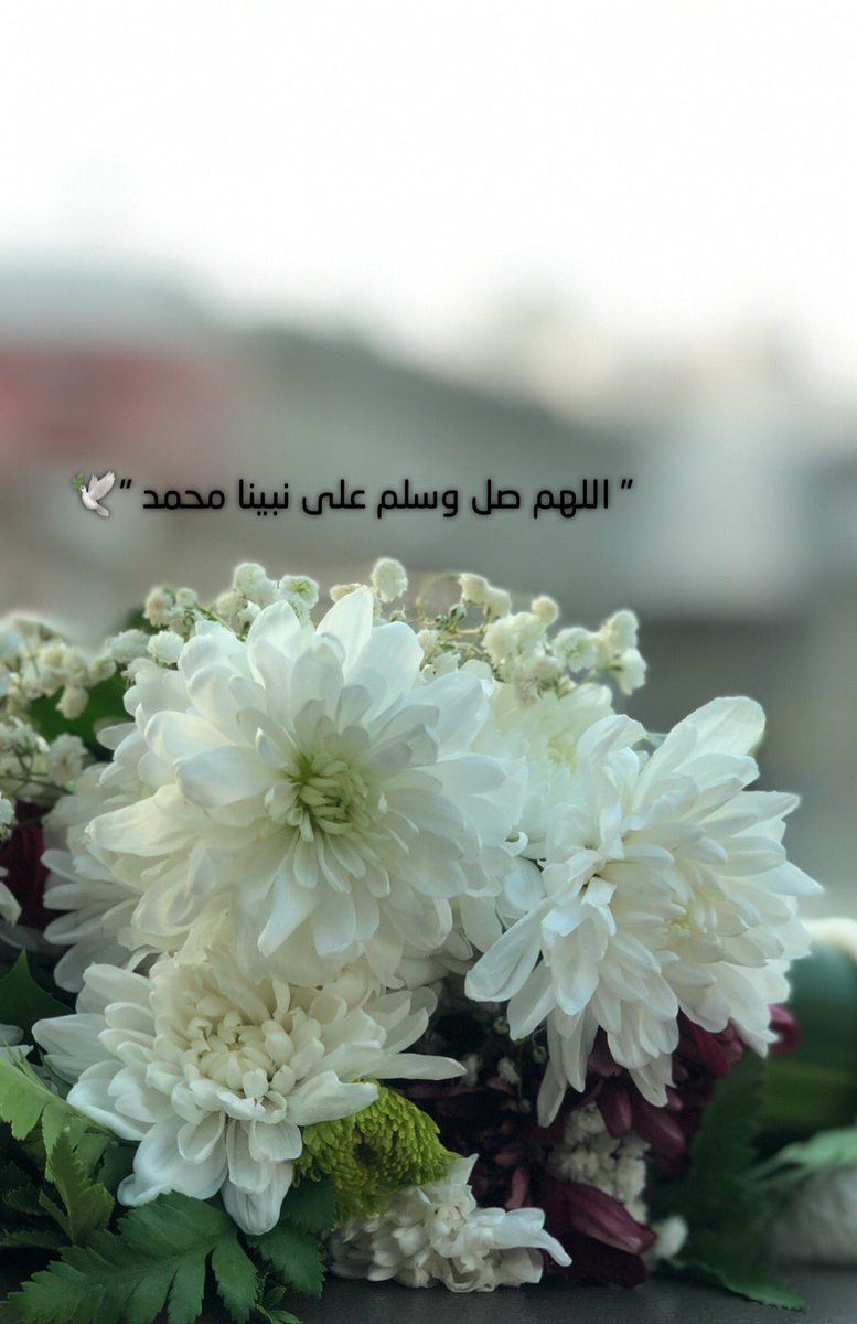 𓆩شيخة𓆪 tweet media
