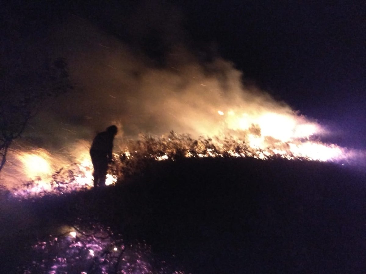 radiosupercali's tweet photo. Cae la noche y nuestros @BomberosCali119 continúan en la zona del incendio, su trabajo ha sido incesante, han tenido apoyo de @FuerzaAereaCol con su Bambi bucket, así como de Bomberos Villa Gorgona, Candelaria, Borrero Ayerve y el Queremal, reportan más de 100 hectáreas afectadas https://t.co/iffrZqmbrM