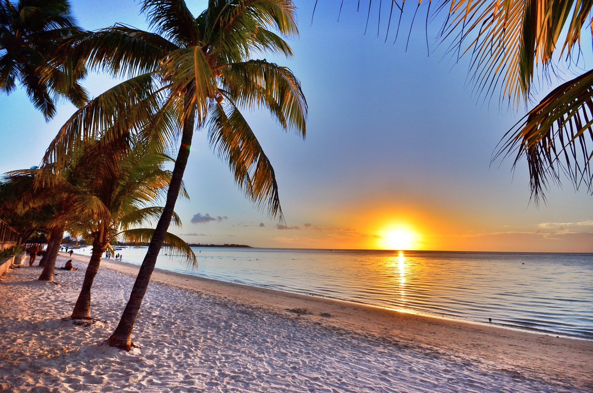Mauritius Island tweet media