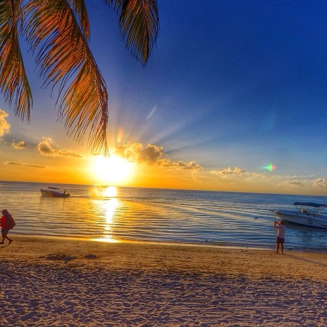 Mauritius Island tweet media