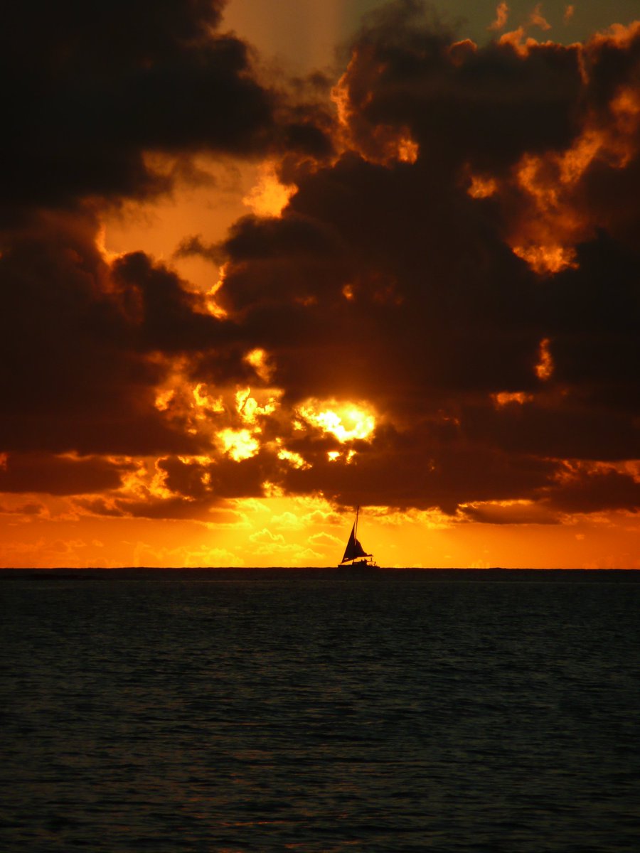 Mauritius Island tweet media