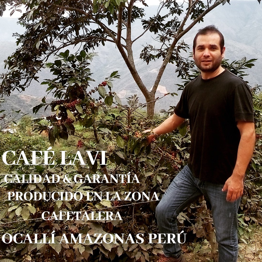 Zona cafetalera Ocallí Amazonas Perú