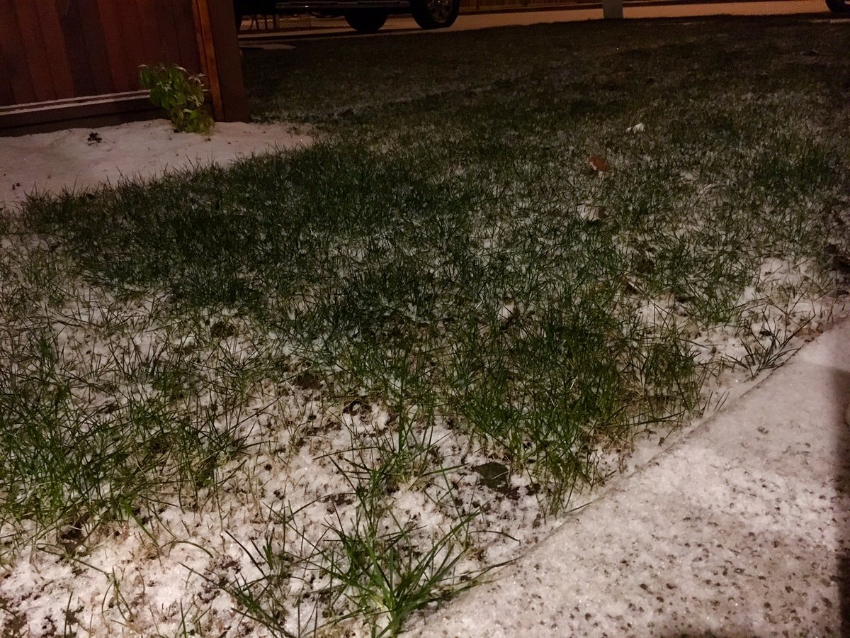 WanderingOff's tweet image. Bundle up everyone, it’s a snowpocalypse! #yyj #bcstorm #WinterIsHere