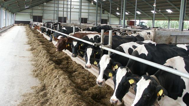 DevMaskare's tweet photo. #Feed_acidifiers market is anticipated to reach USD 2.03 billion by 2026, grow at a CAGR of 4.5% from 2018 and 2026.
Get Sample Copy Report - https://t.co/Lo1d9UJGbf
#foodandbeverages #fumaricacid @FollowBIOMIN @NutrexResearch @Pancosmaindia @polaris_mrc @QUBFoodProf https://t.co/JglhPq4NqG