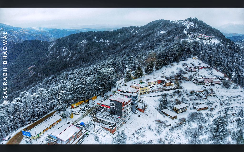 Snowy Shimla 
#shimla #himalayasarecalling #Himachal #HimachalPradesh #HimachalTourism #naturelovers #naturephoto #nature_perfection #snowday #mountainlife #hillstation