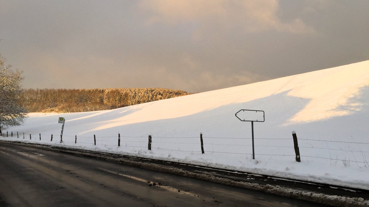 Wo kein Schnee liegt, kann trainiert werden, oder? Unsere Strecke heute in Lindlar. Und Ihr so? #DeineTour <a href="/DeineTour/">Lidl Deutschland Tour</a> <a href="/ichhasselaufen/">Balkon gegenüber</a> <a href="/radsportinnrw/">Radsport in NRW</a> <a href="/RennRad_Magazin/">RennRad_Magazin</a> #training <a href="/Koeln/">Stadt Köln</a>