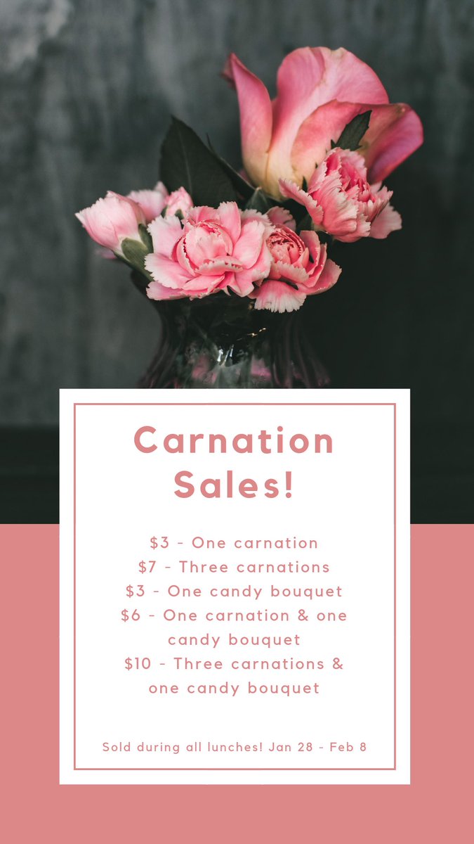 Come buy a carnation or candy bouquet for a special someone or friend for Valentine’s Day! This is the last week to buy!