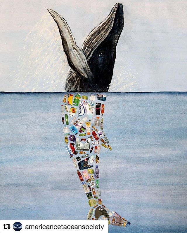 PacificWhale's tweet photo. Protect what you love ❤️🐋 #refuseorreuseplastic #refuseorreuse #protectouroceans #plasticfree #maui @pacificwhalefoundation https://t.co/tDqbf2fd8Z https://t.co/t8ac5nc28X