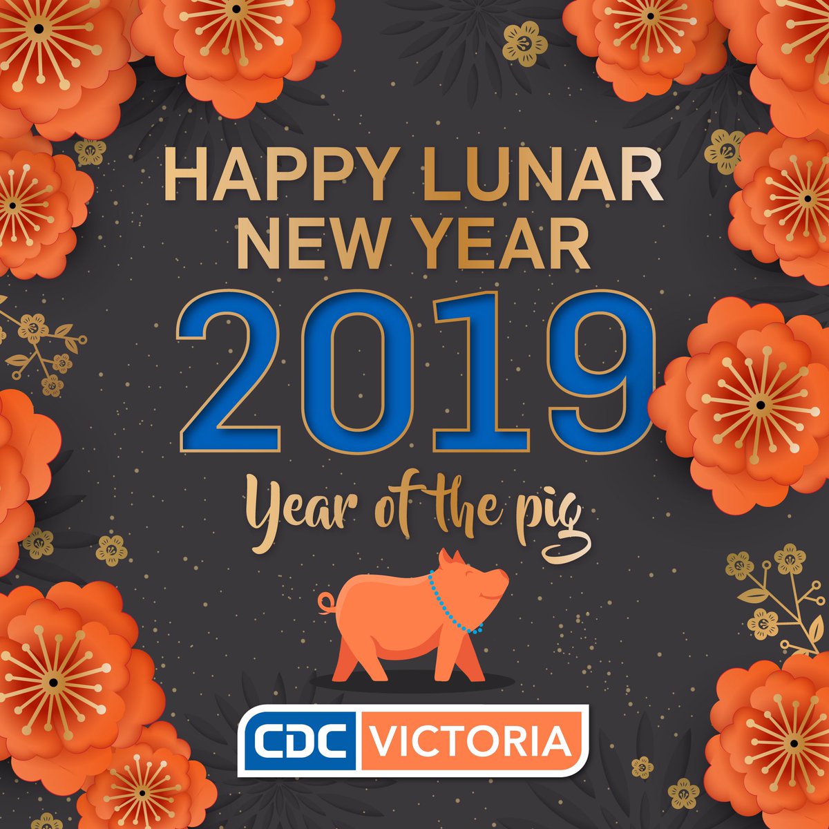 CDCVictoria's tweet photo. Gong Hei Fatt Choi (Happy Chinese New Year) to all our staff, passengers, family and friends. May the year of the Pig bring you good health & prosperity #cdcvictoria #cdcmelbourne #cdcgeelong #cdcballarat #chinesenewyear2019 #cny2019 https://t.co/s5TaAGFTQC