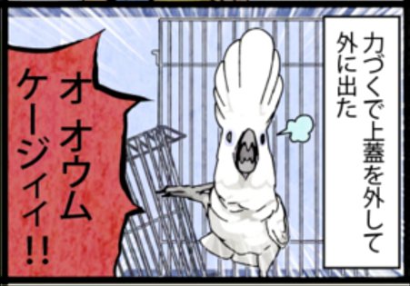 鳥にも得て不得手がありまして… 