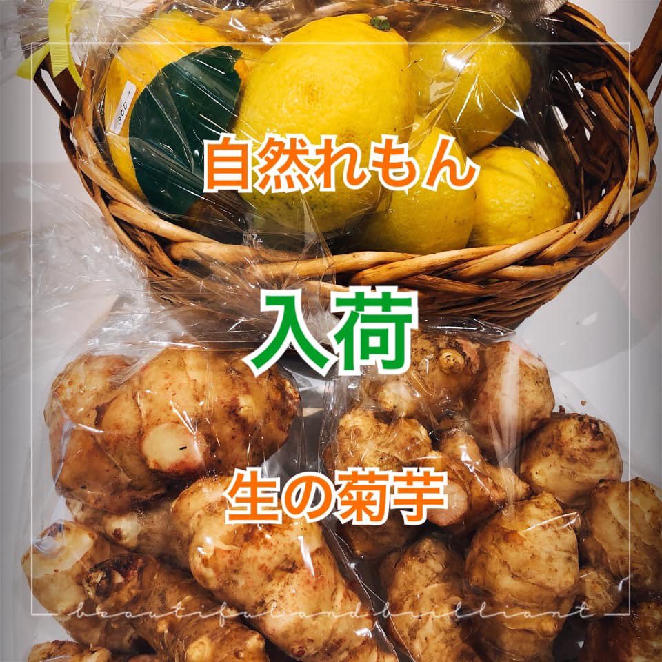 今月末までしか味わえない生の菊芋と
無農薬、無肥料の自然れもん入荷しました！

天然のインスリン菊芋も自然栽培ですので、皮ごと召し上がれます！
サラダや和え物、煮物にフライ、お好きな調理法で食卓へ！
整腸作用、コレステロール値低下、デトックスに美肌効果まで♫
500円/500g