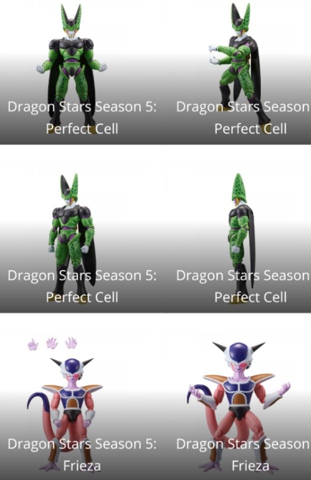 dragon stars perfect cell