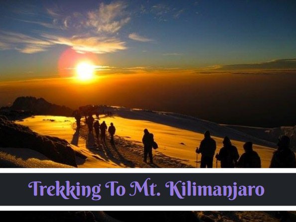 bush2city's tweet photo. #Kilimanjaro: standing proudly in the heart of #Tanzania, which is one of the biggest drawcards not for #Tanzania alone but for #Africa.  Now anyone making a Tanzania Safari is annexing to #KilimanjaroClimbing in their itinerary.
https://t.co/UURHKiQYAN https://t.co/jhlKHiqke2