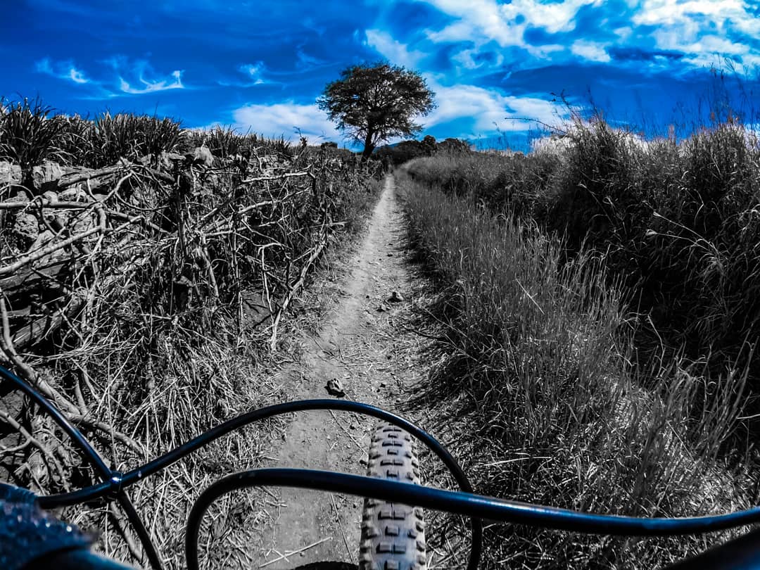 edgemtb73's tweet photo. Viviendo el momento con gran pasión.
.
.
#mipasion #amorodar #mtb #mtblove #cyclingphotos #paisajes #mirutamtb #myroutemtb #hazloconpasion #xco #bike #cycling #rutsenergy #energygel https://t.co/YtRBHp051g