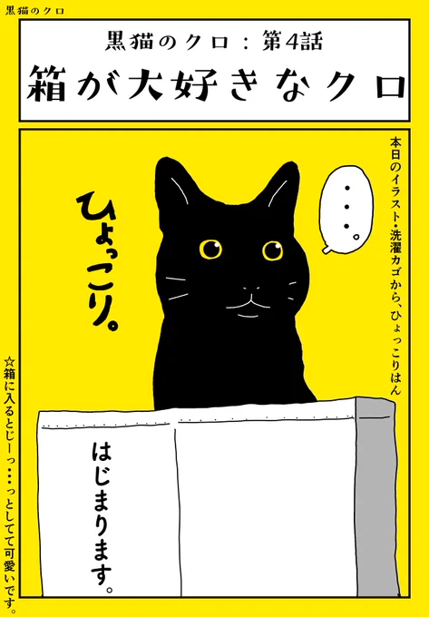 今日は【黒猫のクロ】の更新日なので、日記漫画はお休みです。今日はクロちゃんをよろしくです。 