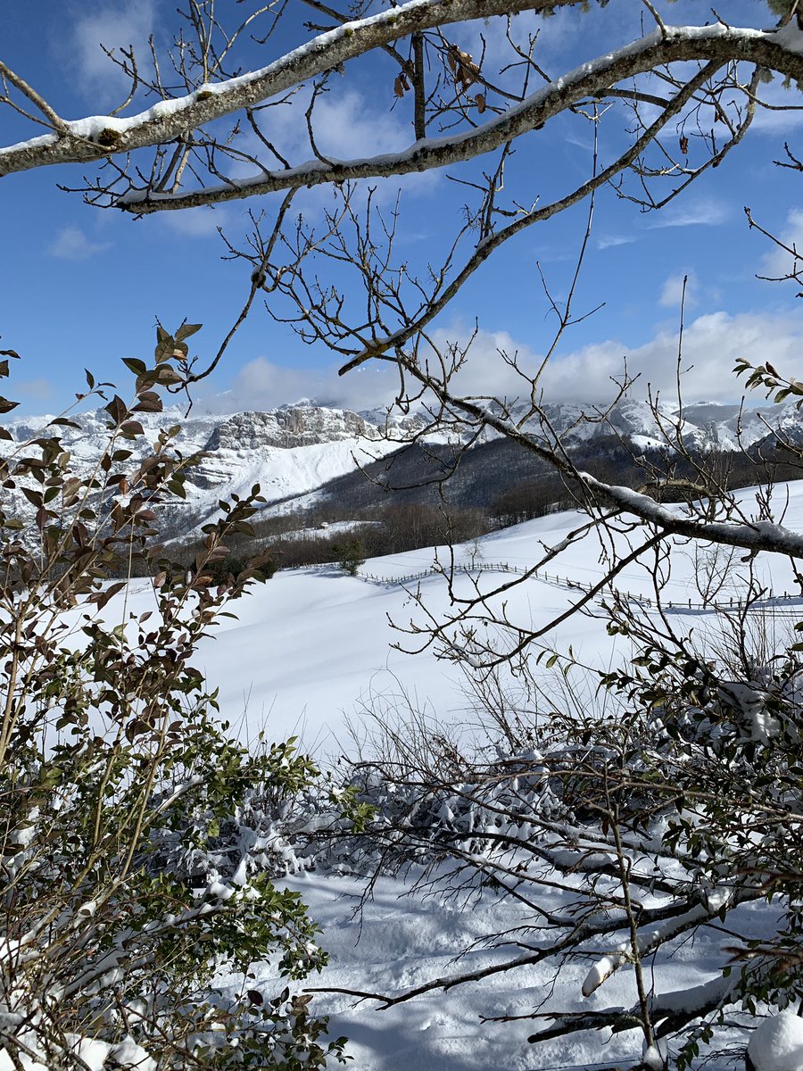 JanethFrederick's tweet photo. Parque Natural Ponga #ponga #PicosdeEuropa #Asturias https://t.co/Tw8OtNo1IM
