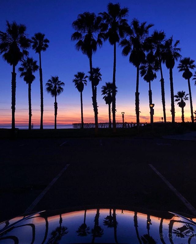 Todays superb feature: @cyn__25 Sunsets + palm trees = paradise 🌅🌴🧜🏼‍♀️🌊💜💕
.
.
.
.
🌴 •
•
•
•
#visitoxnard 
#relaxyoureincali 
#hugapalmtree 
#photography 
#nature
#californiaholics 
#caliinviteyou 
#california 
#california_igers 
#instaphoto 
#ab… bit.ly/2WxqPxY