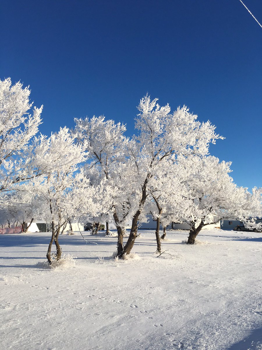 Enjoyed the beautiful scenery and weather of Hawaii, and despite the cold, it’s good to be home!