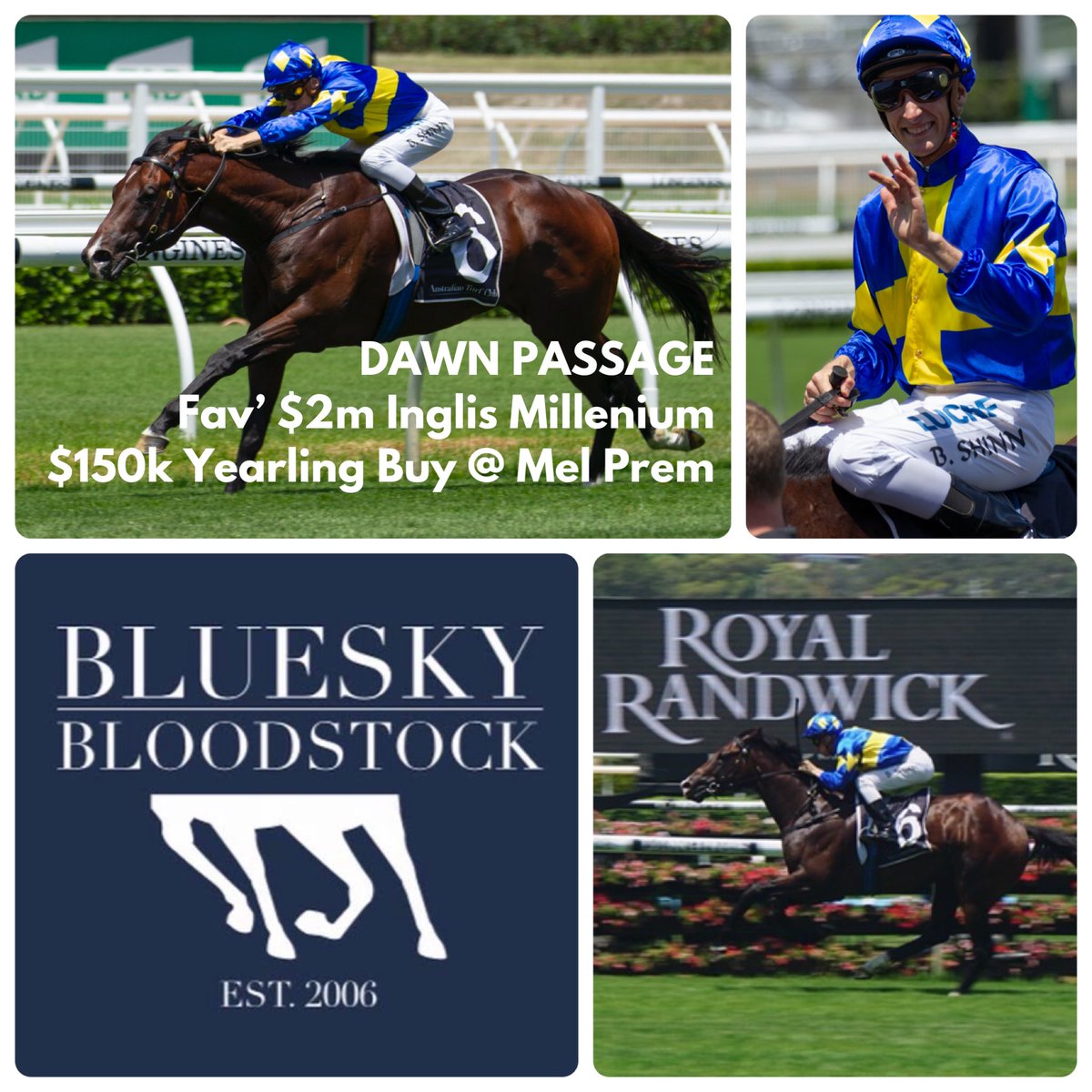 Julian Blaxland Bloodstock 🇦🇺 (@julianblaxland) on Twitter photo Can’t wait for Saturday when we see this special colt DAWN PASSAGE return for <a href="/GaiWaterhouse1/">Gai Waterhouse AO</a> & Adrian Bott & <a href="/blake_shinn/">Blake Shinn</a> . A $150k yearling buy from <a href="/millparkstud/">Mill Park Stud</a> at last year’s <a href="/inglis_sales/">Inglis</a> Mel Premier Sale. Can’t wait for Saturday when we see this special colt DAWN PASSAGE return for <a href="/GaiWaterhouse1/">Gai Waterhouse AO</a> & Adrian Bott & <a href="/blake_shinn/">Blake Shinn</a> . A $150k yearling buy from <a href="/millparkstud/">Mill Park Stud</a> at last year’s <a href="/inglis_sales/">Inglis</a> Mel Premier Sale.