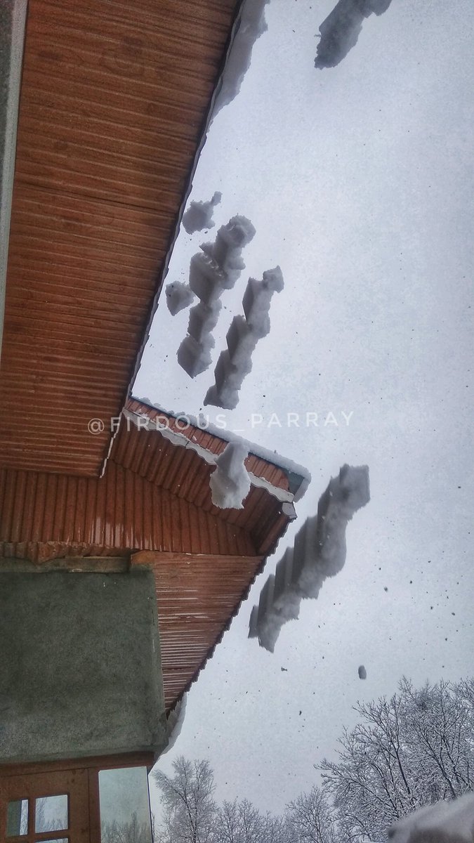 firdousparray06's tweet photo. Snowfall picture
#hdreffect #hdrphotography #Photography #Foto #fotografia #fotografie https://t.co/4Kud1IkWMF