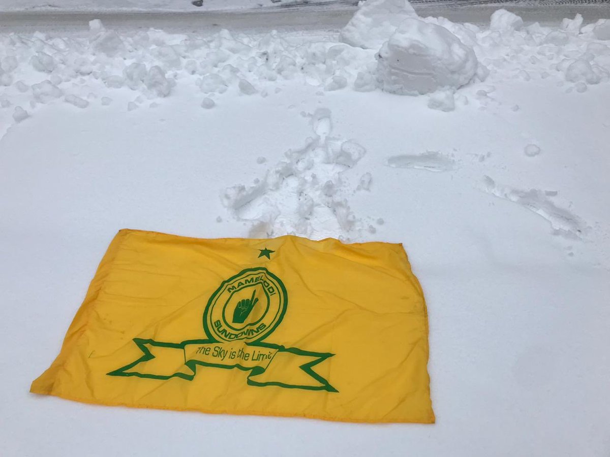 Masandawana Fan Vlog tweet media