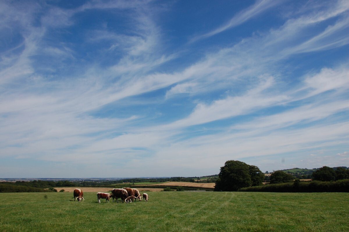 What a great, simple, positive message #Februdairy has - and what a stunning canvas we have to tell it from!

❤️🇬🇧🐄🥛
#Milk #Dairy #BackBritishFarming