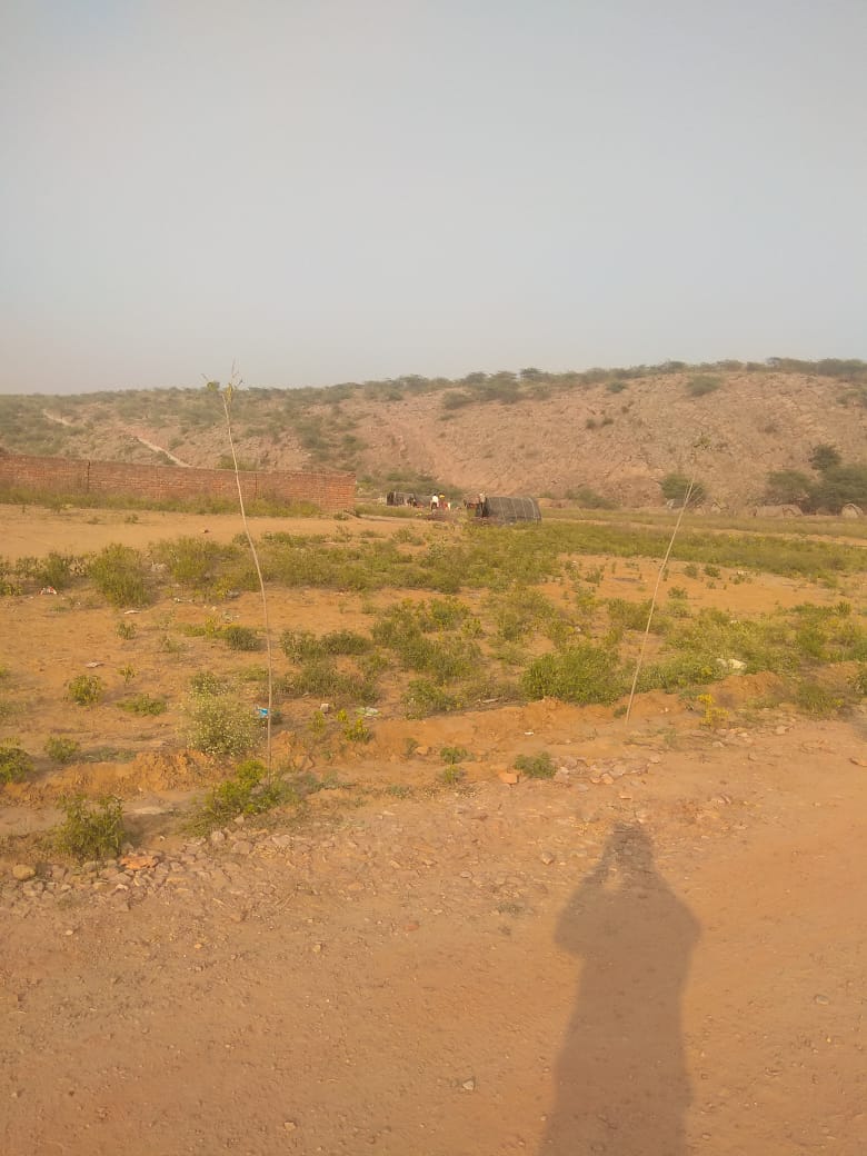 Parveen1911's tweet photo. 1 acre agricultural land is extremly available on Ghamroj with highly amenities and location benefits.....

get in touch with us anytime:- 9999199209

#RealEstate #RealEstateInvesting #realestateagents #RealEstateMarketing #realtors #realtorlife #agriculture #farmhouse #investing https://t.co/tB7luzS4XG