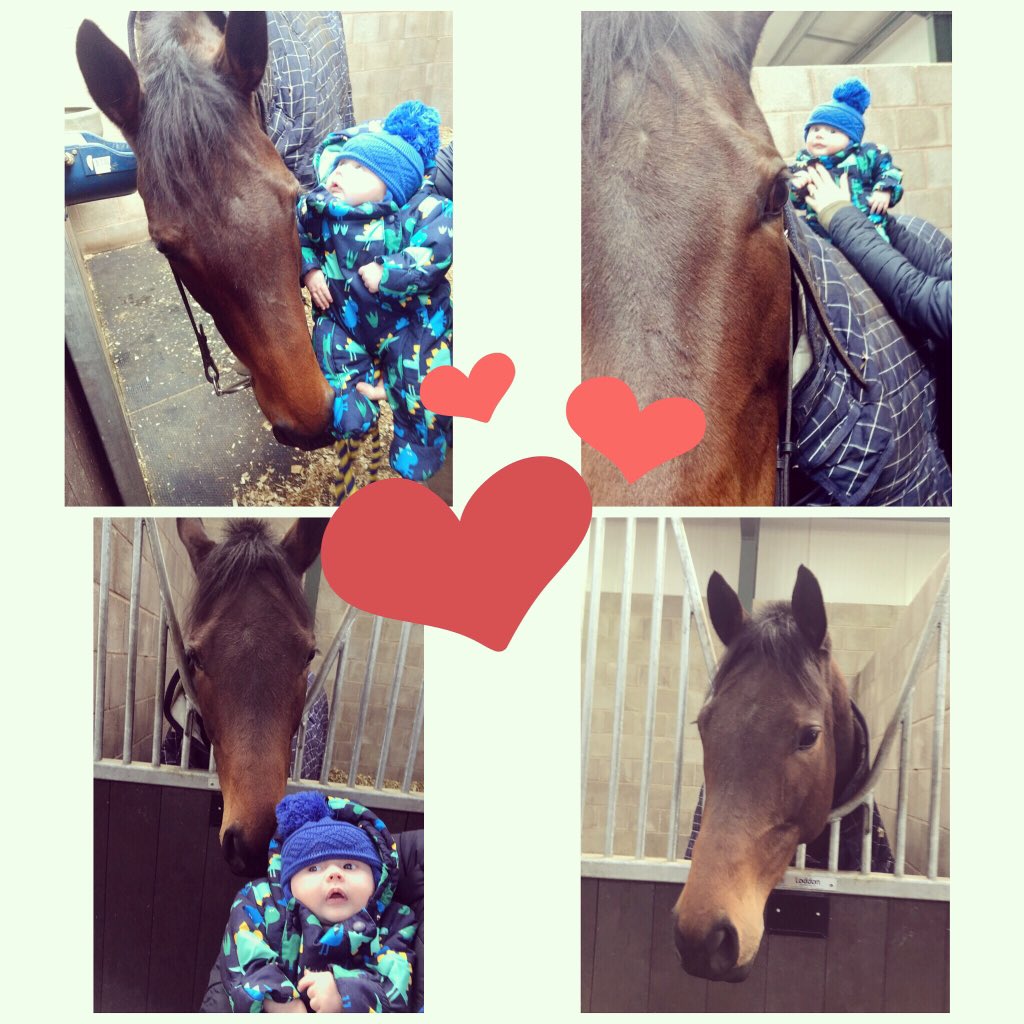 Kisses with the queen before goes back into training today ❤️ So excited to see what this year brings... go and smash it girl💪🏼👑 ps Alfie says she feels as good as ever and is ready to roll 😉😂 come on Mabs!! 🤞🏼❤️#teammabs#homebreds#thequeen#2019#dreams