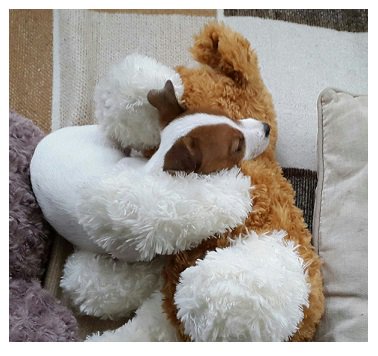 🦋 ᴍʏ ɴᴀᴍᴇ ɪꜱ ᴀʟɪ (@alishavalerie) on Twitter photo <a href="/loosewomen/">Loose Women</a> #LooseWomen
I think that our pets support us just as much as we support them.
My miniature Jack Russell Daisy gives me so much emotional support and has totally changed my life - it's amazing!
Here she is cuddling her favourite teddy 🐶🐾 <a href="/loosewomen/">Loose Women</a> #LooseWomen
I think that our pets support us just as much as we support them.
My miniature Jack Russell Daisy gives me so much emotional support and has totally changed my life - it's amazing!
Here she is cuddling her favourite teddy 🐶🐾