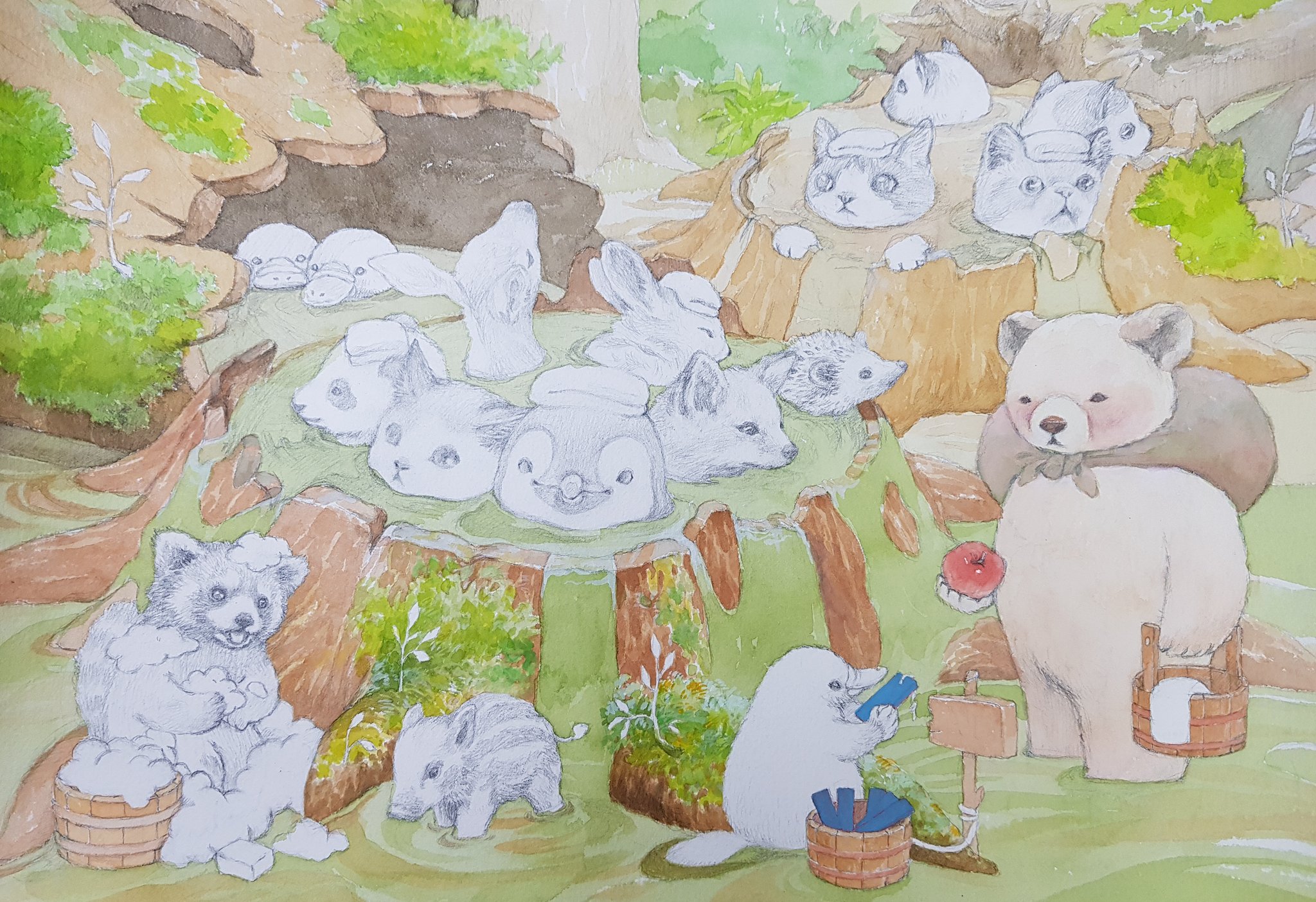 まなつとまふゆ 名古屋クリマk13 森の温泉 イラスト 水彩画 動物 ペンギン 猫 キツネ パンダ くま 猪 レッサーパンダ イノシシ 温泉 うさぎ カモノハシ T Co Zvlhpafgcm Twitter