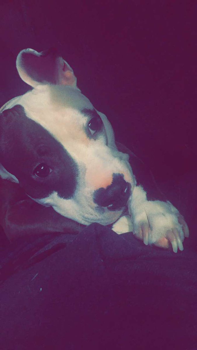 WHY IS SHE THE CUTEST
