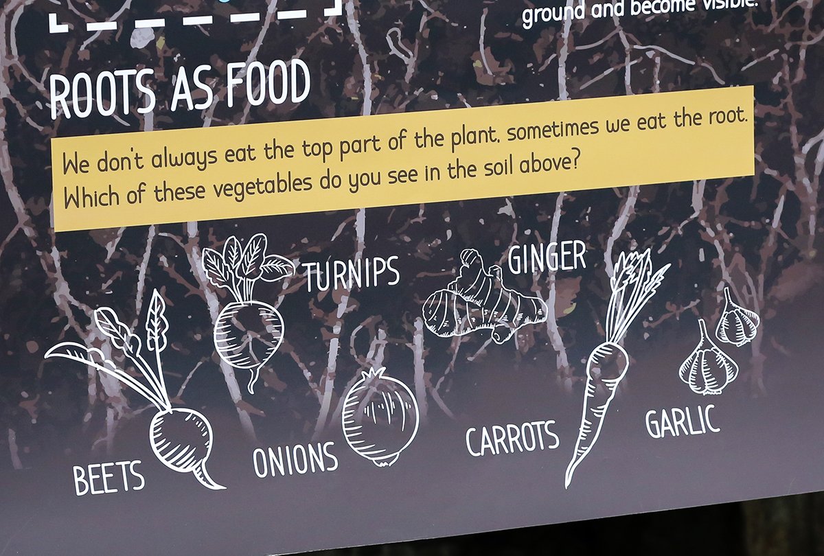 uga_serves's tweet image. Check out informational displays designed by @ldsoa graphic design students when the Alice H. Richards Children’s Garden opens March 23. #ExperientialLearning t.uga.edu/4DY