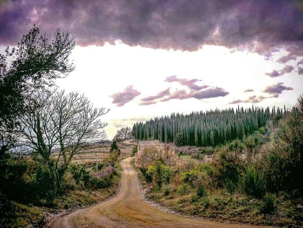 Winter Colors 🍂🌲🍁🌳⠀ #chianti #natura #discovertuscany #chiantilife #visititaly #toscana⠀ #tuscany #youchianti #campagnasenese #nature #chiantishire #instatuscany #madeintuscany #ig_toscana #paesaggitoscani #siena #landscapes #discovery #landscape_captures #winepassio…