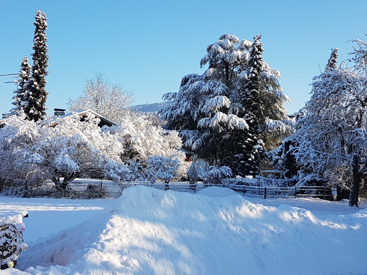Alpinwetter | kachelmannwetter.com (@alpinwetter) on Twitter photo #Vorarlberg/#Rheintal/#Lauterach: #Winter-Märchen mit knapp 30 cm #Schnee. Die aktuellen Schneehöhen kachelmannwetter.com/at/messwerte/v… (Ablesen: Klick auf Zahl) und blauer Himmel - Blick in Richtung #Pfaender.
Es bleibt sonnig: kachelmannwetter.com/at/vorhersage/… - beliebigen Ort via Menü eingeben. #Vorarlberg/#Rheintal/#Lauterach: #Winter-Märchen mit knapp 30 cm #Schnee. Die aktuellen Schneehöhen kachelmannwetter.com/at/messwerte/v… (Ablesen: Klick auf Zahl) und blauer Himmel - Blick in Richtung #Pfaender.
Es bleibt sonnig: kachelmannwetter.com/at/vorhersage/… - beliebigen Ort via Menü eingeben.