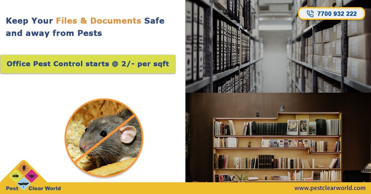 PestClearWorld's tweet photo. Keep your files and documents safe and away from pests.
Call us on 7700932222 or visit https://t.co/qU42103gZS
#PestClearWorld #PestControl #PestManagementExpert https://t.co/dYvEQ9UtnU