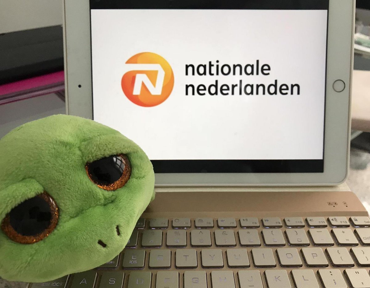 InknowationBNI's tweet photo. La tortuga Bnita está pasando la semana con nuestra asesora en ahorro e inversión Amaya Quirós, quien hizo la mejor presentación el pasado miércoles. #Networking #Referencias #Ahorro #Inversión https://t.co/D4iXTlRH3N