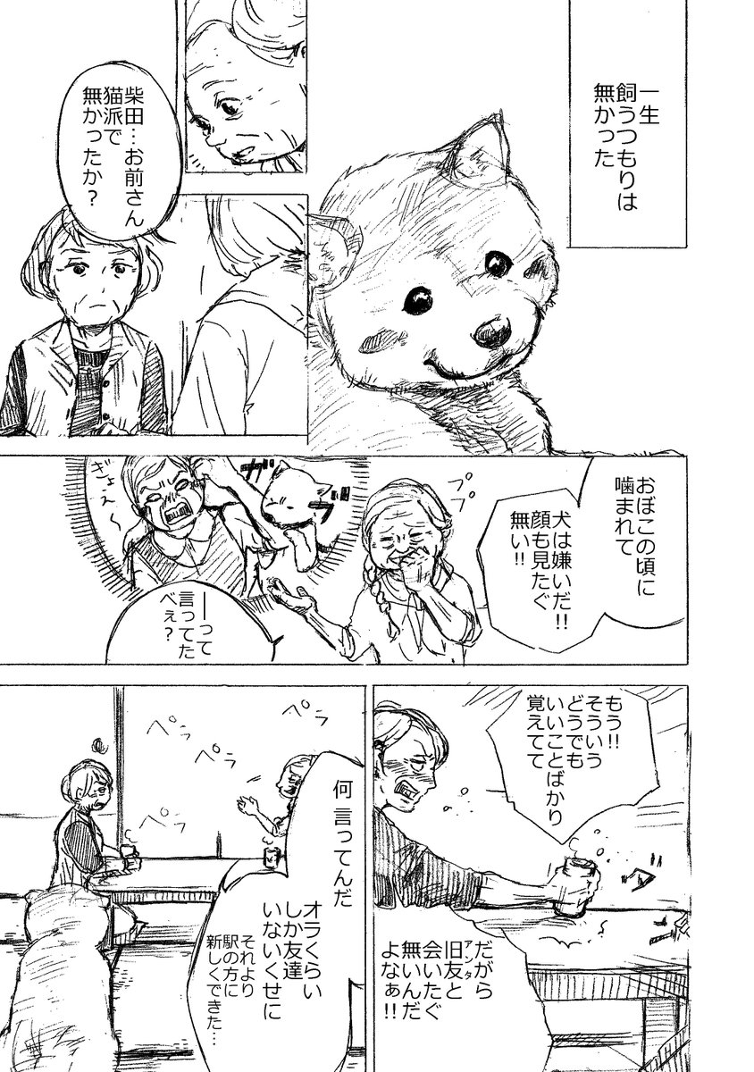 【創作漫画】はじめての犬

前作から、しばらく経ったおばあちゃんの話です。
ちなみに、うちのおばあちゃんも猫派です。

#わんことばあちゃん 
#柴犬 #豆柴
#3月11日
#一歩ずつ
#4ページ漫画 