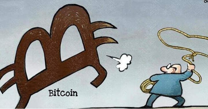 Qrypto.Tech tweet media