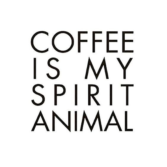 thecoffeepug's tweet photo. https://t.co/DyrjWE67oJ