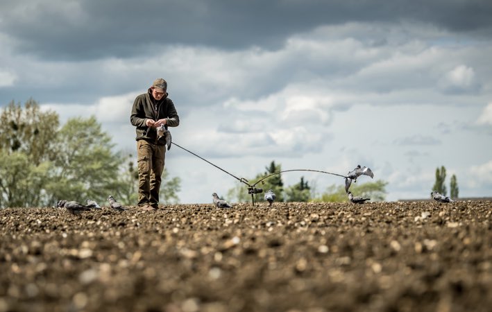 ShootingTimes's tweet photo. The game season might be over but subscribe to Shooting Times today to be entered into a prize draw to win a day’s pigeon shooting with Tom Payne, with cartridges provided by @HullCartridge https://t.co/Ve8yDPxcKV https://t.co/Cz8lkdjuHP