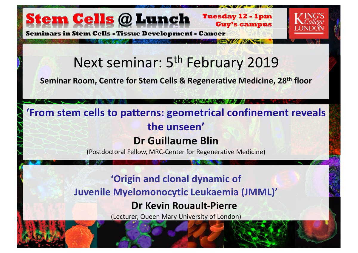 KCLstemcells's tweet image. Stem Cells @ Lunch is back tomorrow! See you at 12pm for talks be Dr Guillaume Blin and Dr Kevin Rouault-Pierre ... 
#stemcells #JMML 
 @kevin_rouault  @crm_edinburgh @The_MRC  @QMUL  @QMBCI @davide_danovi @KCLBMBioscience @KingsCollegeLon @KingsImaging @kingshealth