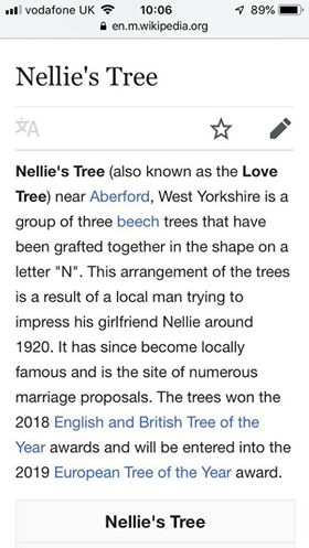 NelliesTree's tweet photo. Thank you @ZoeTheBall &amp; @BBCRadio2 for the shout out for listeners to vote for #NelliesTree to become 1st ever UK winner of European #TreeoftheYear. Vote at https://t.co/yDhbXokkgX 🌳 https://t.co/stvFOxhSLM