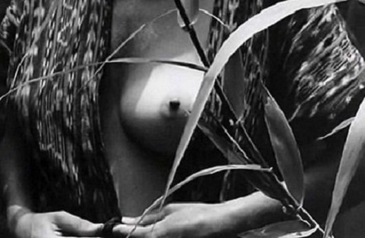 yalcinizbul's tweet image. 4 Şubat - bgn doğ. Manuel Álvarez Bravo (1902-2002)
Meksika 20yy Latin Amerika #fotoğraf sanatının en ünlülerinden.
Sıradan imgelere/konulara #ironik/#sürrealist yaklaşım
#fotoğrafçılık #sanat