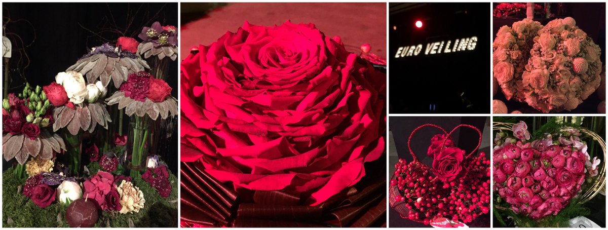 Prachtig bloemwerk op het feest van de euroveing in Brussel.