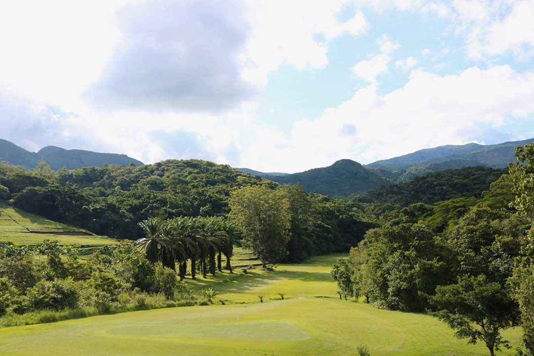 ZwE_Highlands's tweet photo. We just love how green everything is this time of year 🌿 Why not visit #AberfoyleLodge this February & play some golf ⛳️ Any keen golfers out there? 🙌
#VisitZimbabwe #VisitHondeValley #ZimbabweBucketList https://t.co/DT5LEzUknF