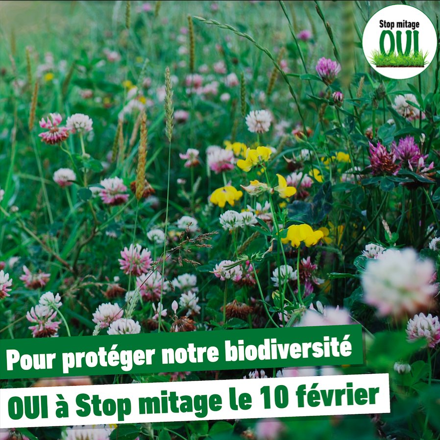 ✅🗳 Pourquoi voter OUI à #Stopmitage le #10fev? #polCH #CHVote #StopmitageOUI #mitage